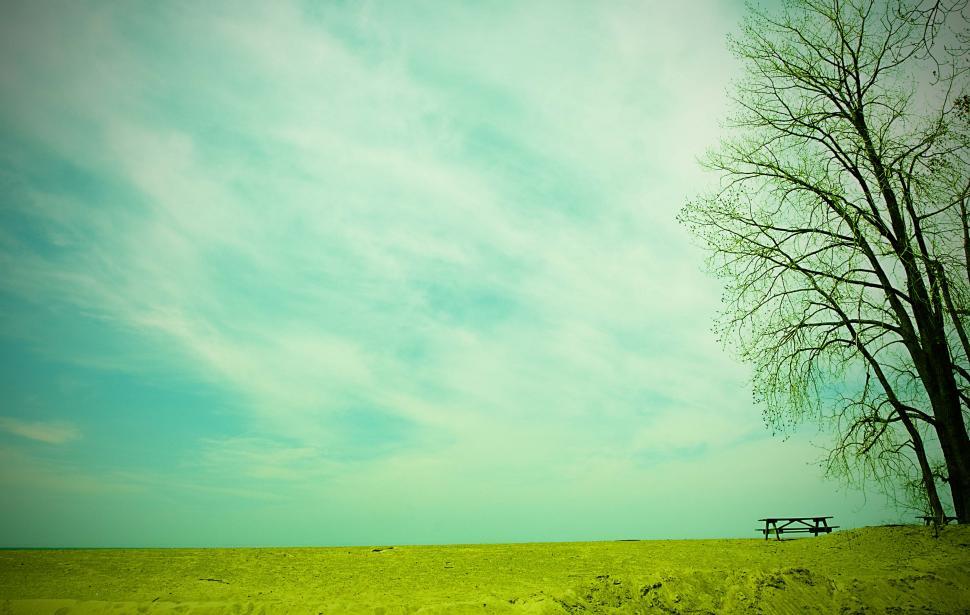 Free Image of Lonely bench 