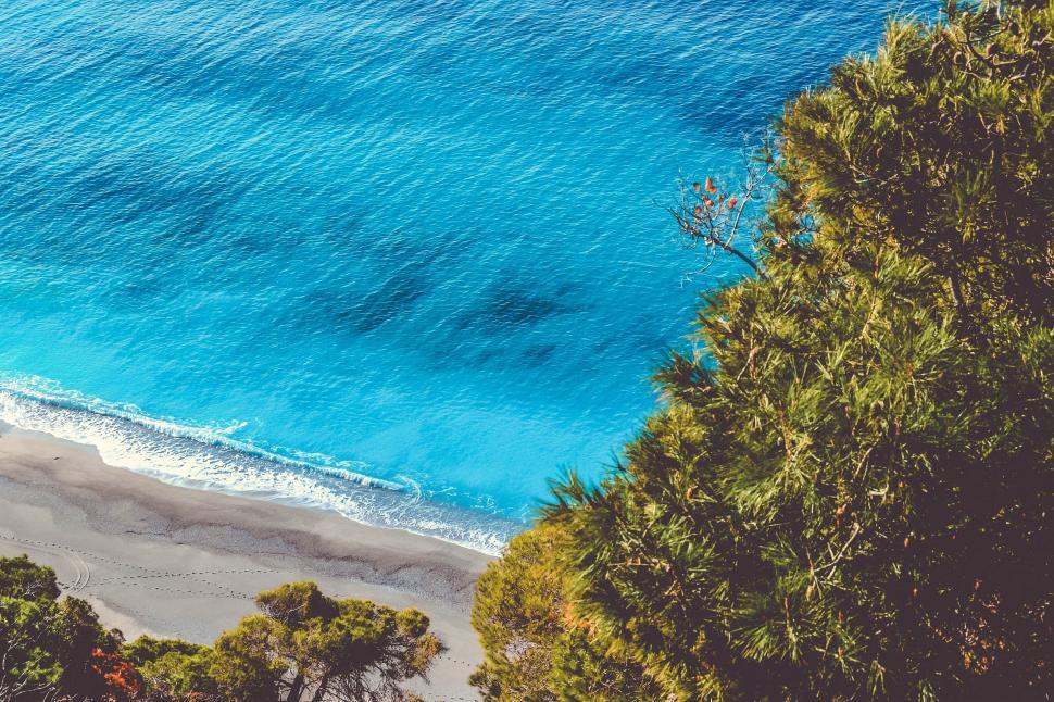 Free Image of Coastline view with turquoise water and trees 