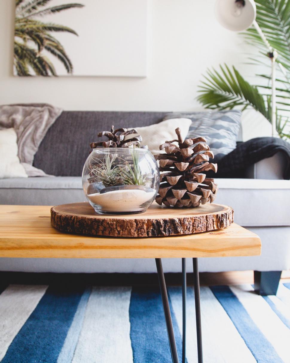 Free Image of Cozy Home Interior with Terrarium Centerpiece 