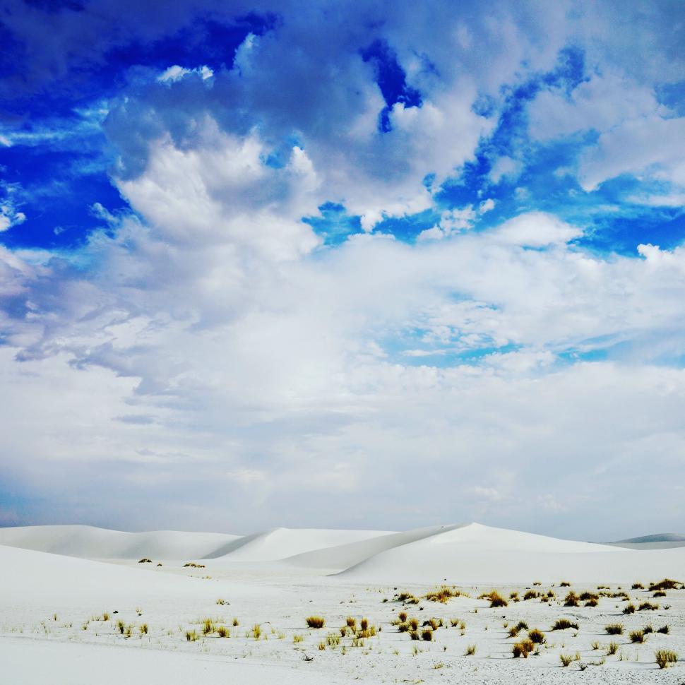 Free Image of Serene White Sands National Park landscape 