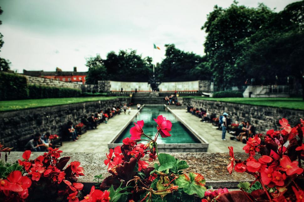 Free Image of Floral foreground with flag and amphitheater 