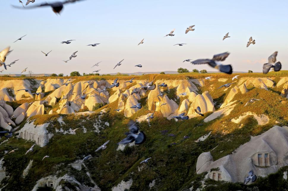 Free Image of Flock of pigeons flying over unique rock formations 