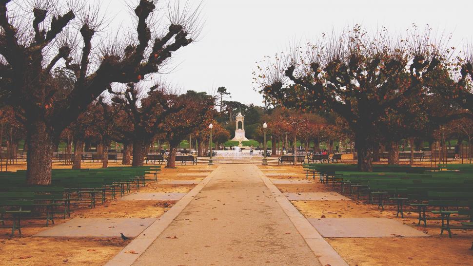 Free Image of Path leading to a statue between trees 