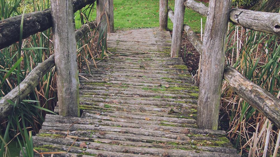 Free Image of Rustic wooden bridge in a lush park 