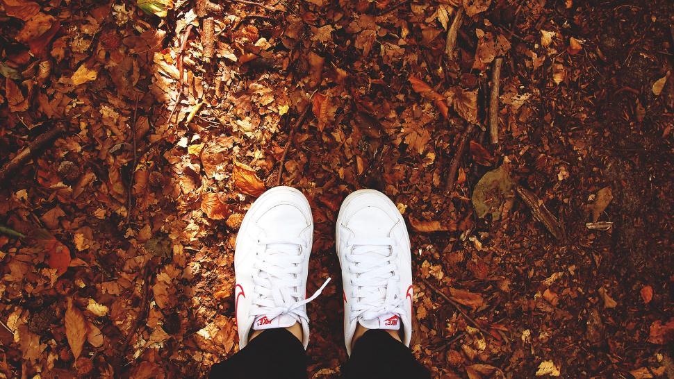 Free Image of White sneakers on fall foliage background 