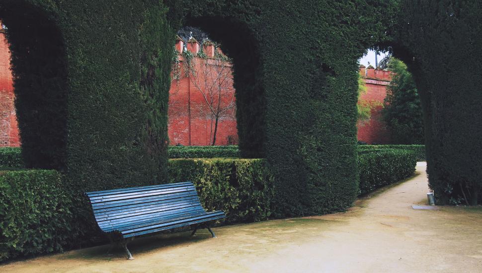 Free Image of Tranquil park scene with an empty bench 