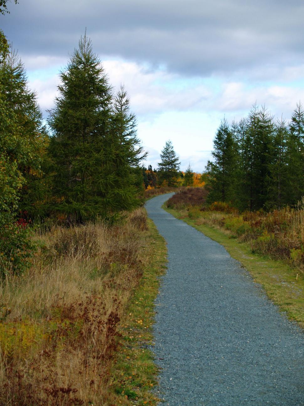 Free Image of Path 