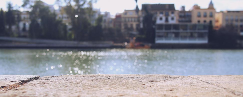 Free Image of Riverfront view from a blurred foreground perspective 
