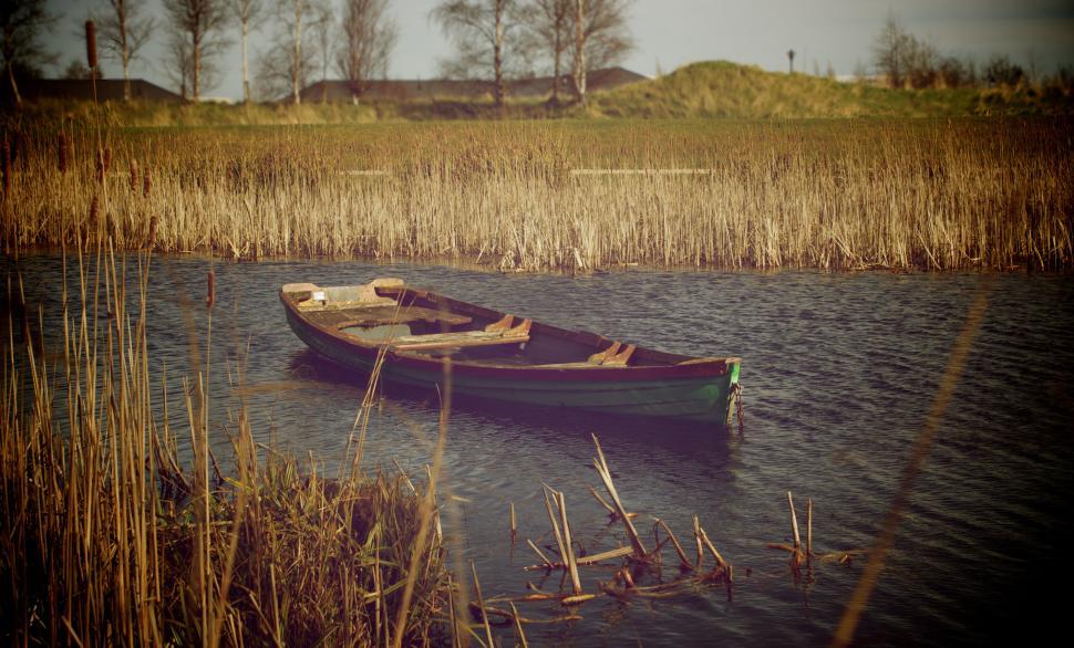 Free Image of Abandoned boat on a tranquil reed-lined river 