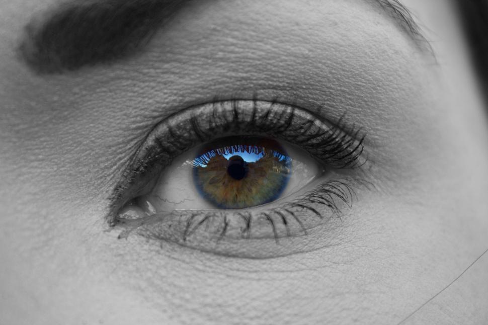 Free Image of Striking close-up of a multicolored human eye 