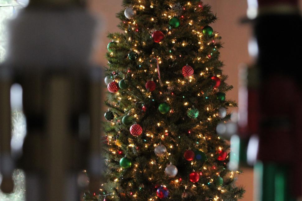 Free Image of Decorated Christmas tree with colorful lights 