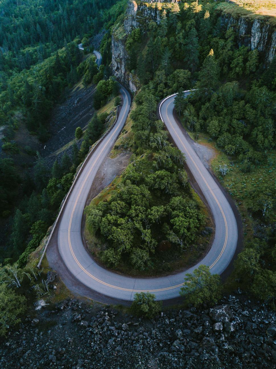 Free Image of Curving road through lush green forest 