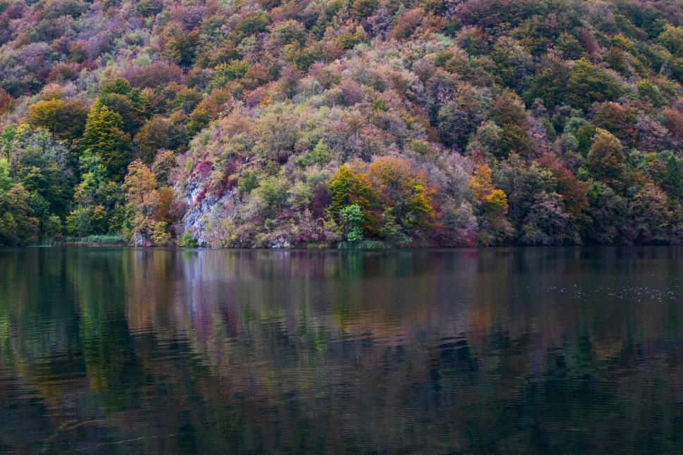 Free Image of Autumnal forest landscape reflected on calm lake 