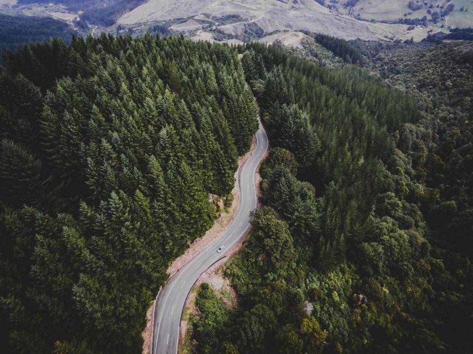 Free Image of Winding road through the forest aerial view 