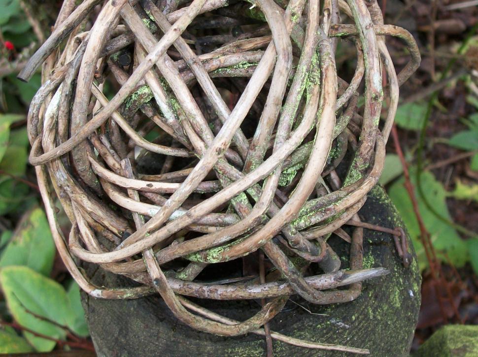 Free Image of Vine Ball on Rock 