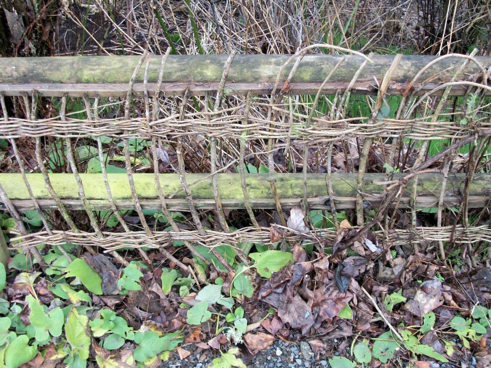 Free Image of Wooden Bench in the Forest 