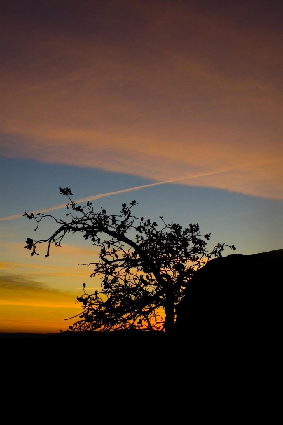 Free Image of Calico Basin, Las Vegas 