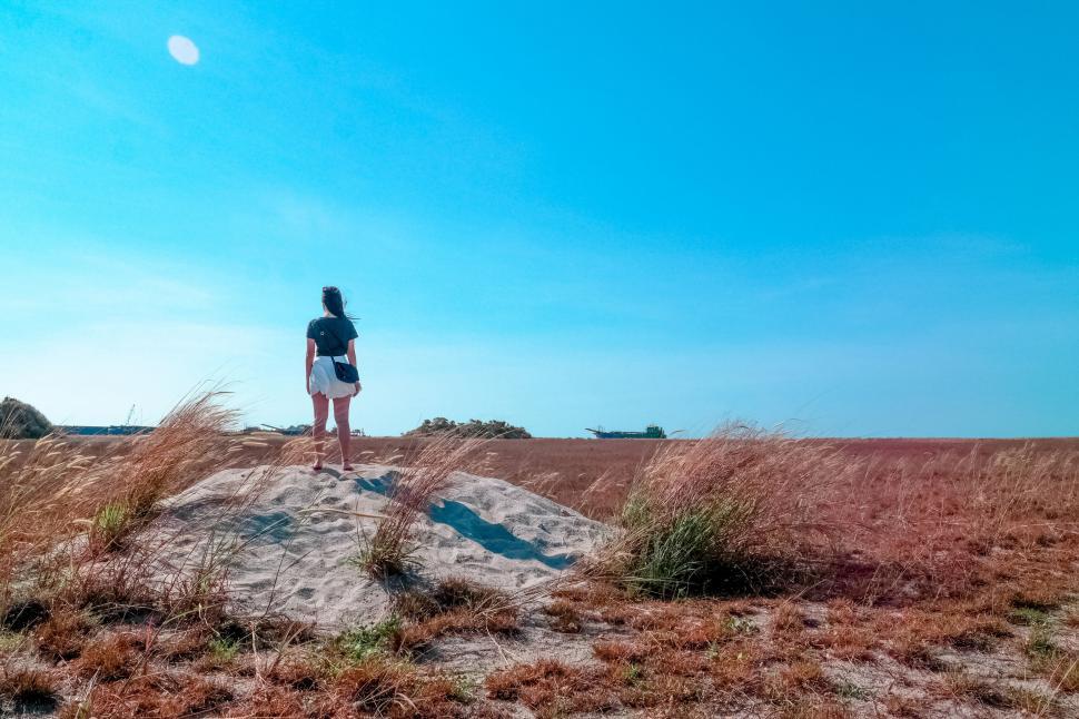Free Image of Person Contemplating Vast Field 