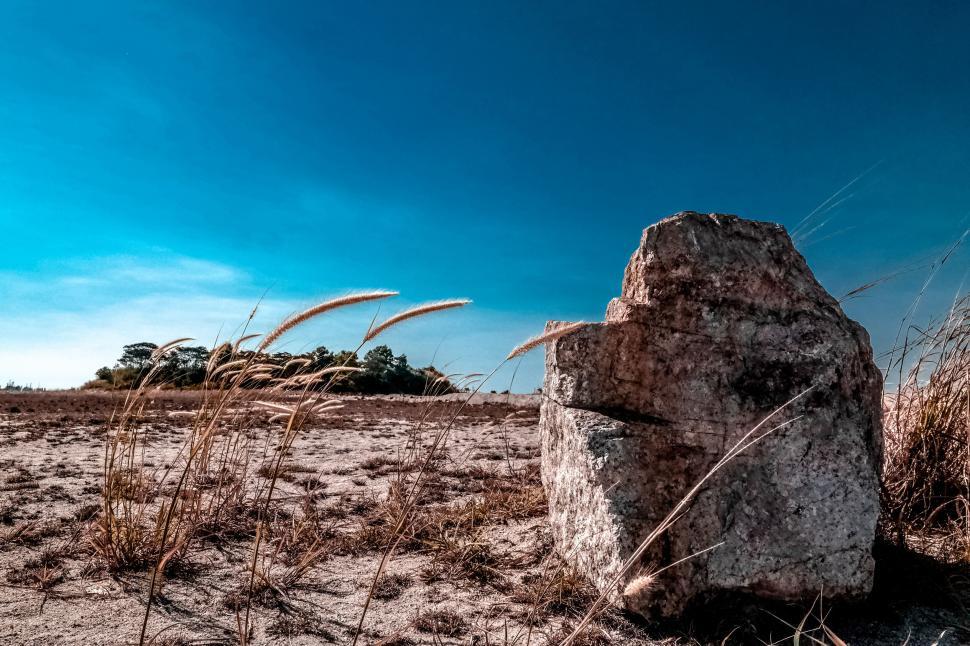 Free Image of Boulder amidst grassy field under blue sky 