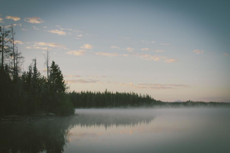 Free Image of Misty lakeside view with forested backdrop 