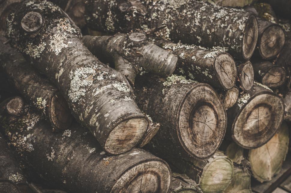 Free Image of Stacked log pile with lichen growth 