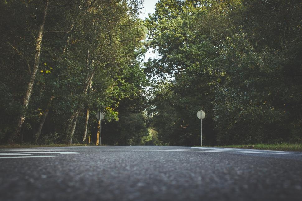 Free Image of Ground level view of a road amidst greenery 