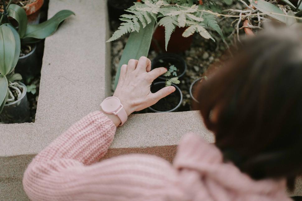 Free Image of Gardener examining plant leaves in greenhouse 