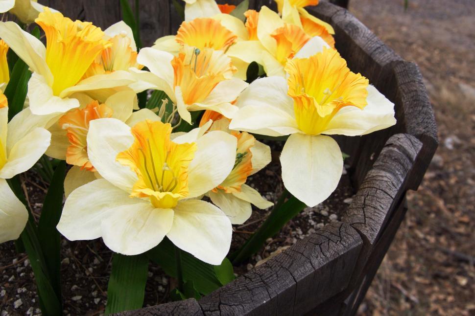 Free Image of Artificial flowers in barrel 