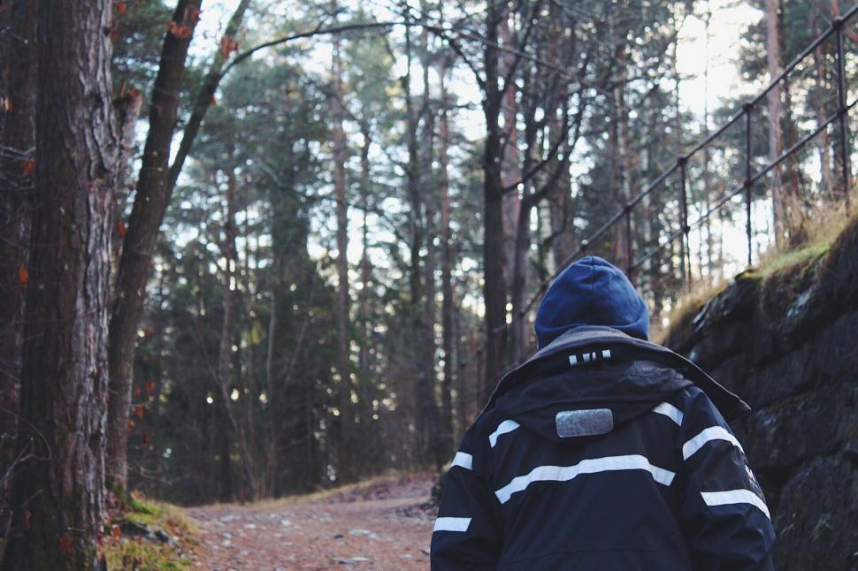 Free Image of Person walking on forest trail in winter 