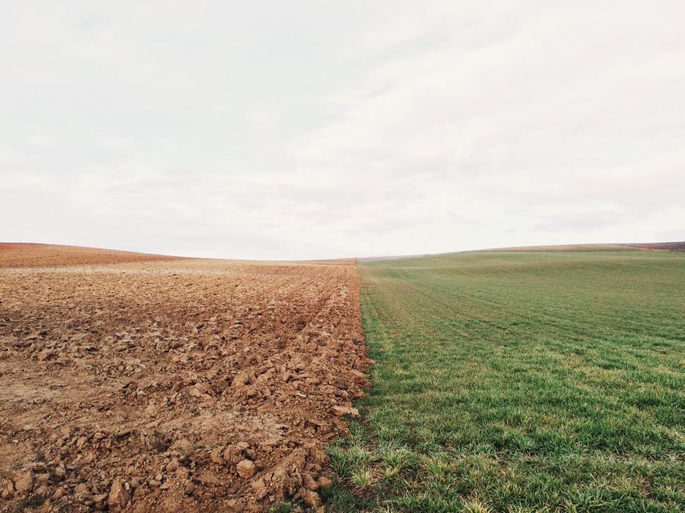 Free Image of Contrast of plowed and green fields 