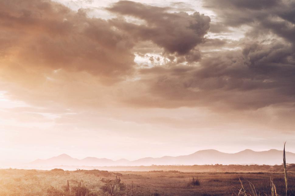 Free Image of Misty sunrise over a serene African landscape 