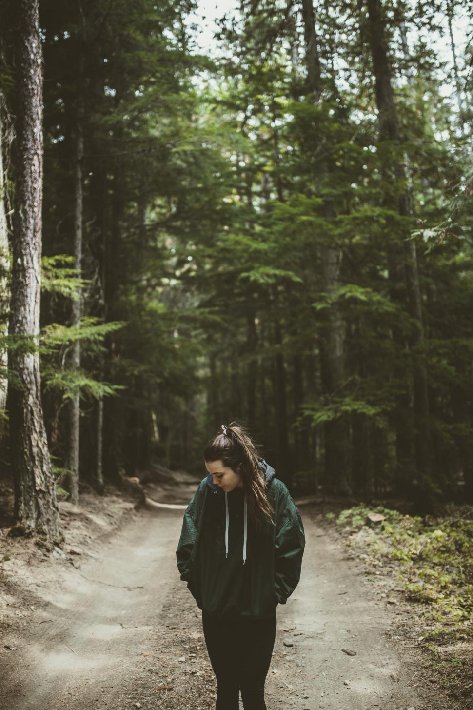 Free Image of Forest trail adventure with person wearing a green jacket 