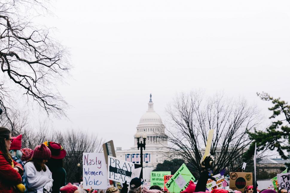 Free Image of Protest crowd in front of a government building 