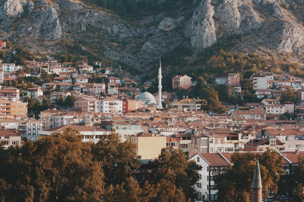 Free Image of Hillside view of a city with mosque centerpiece 