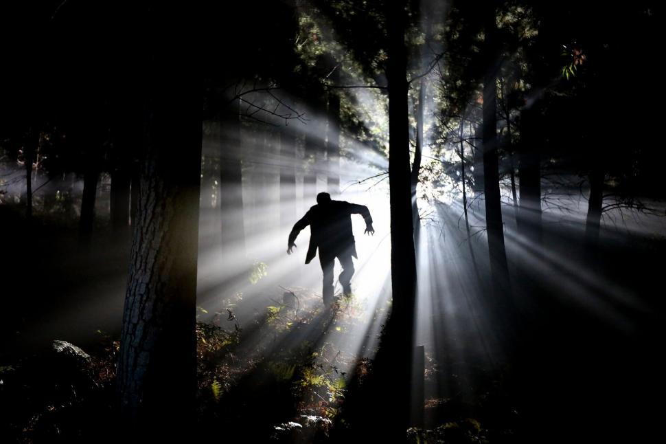 Free Image of Mysterious silhouette between sunrays in forest 