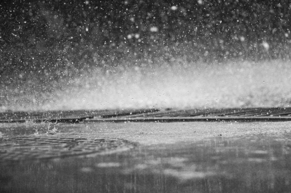 Free Image of Rainstorm creating ripples on a water surface 