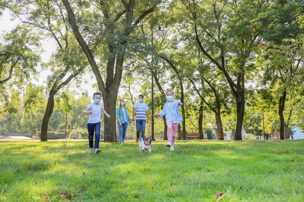 Free Image of Children playing together in a park 