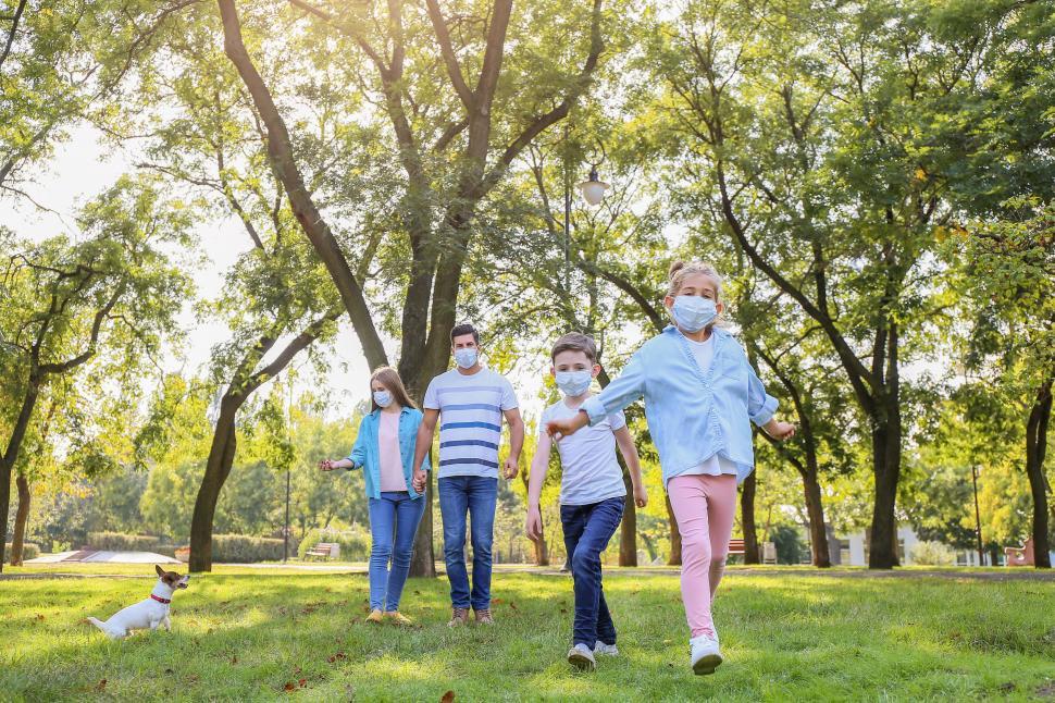 Free Image of Back view of family walking in sunny green park 