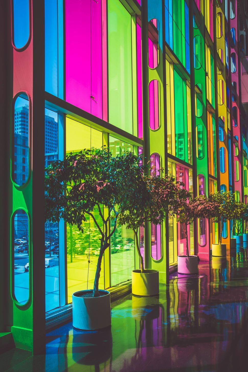 Free Image of Vibrant colored glass wall with tree 