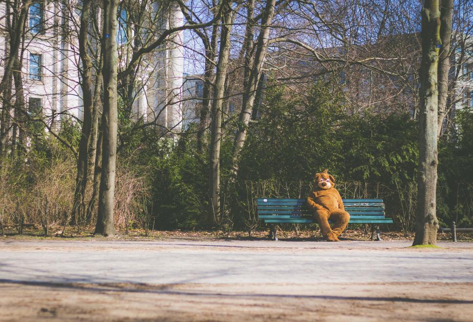 Free Image of Person in bear costume sitting on bench 