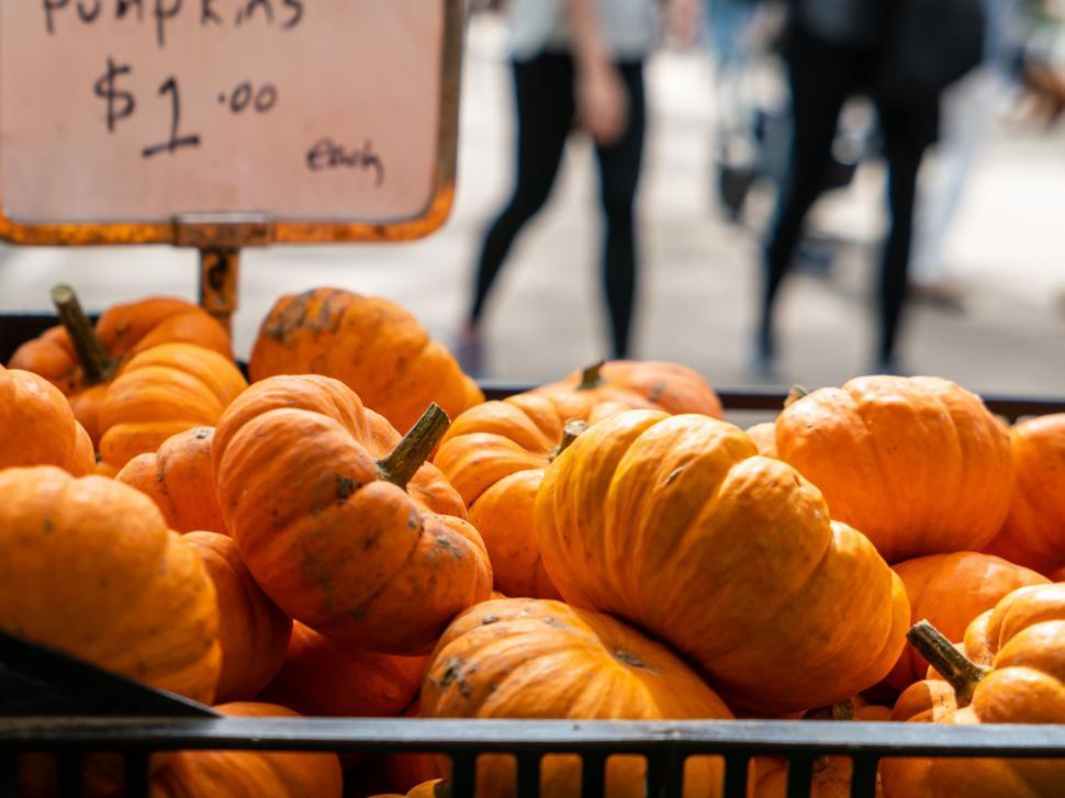 Free Image of Market stall display with vibrant pumpkins 
