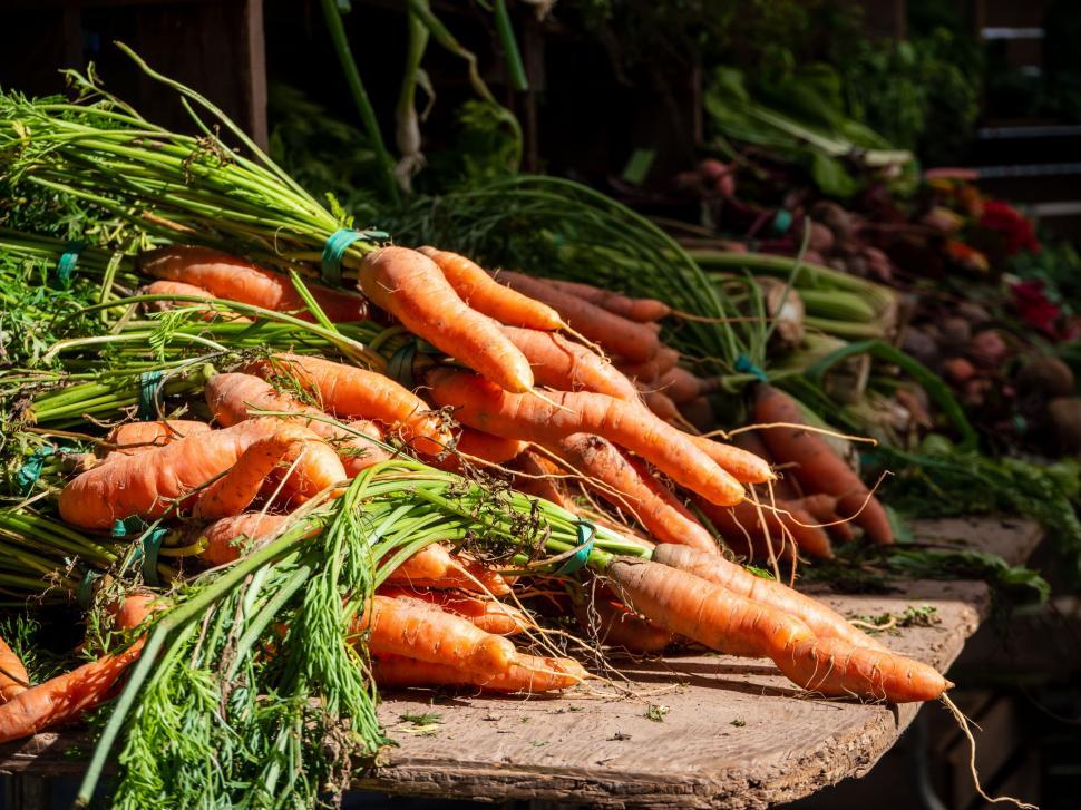 Free Image of Fresh carrots on a farmer s market stand 