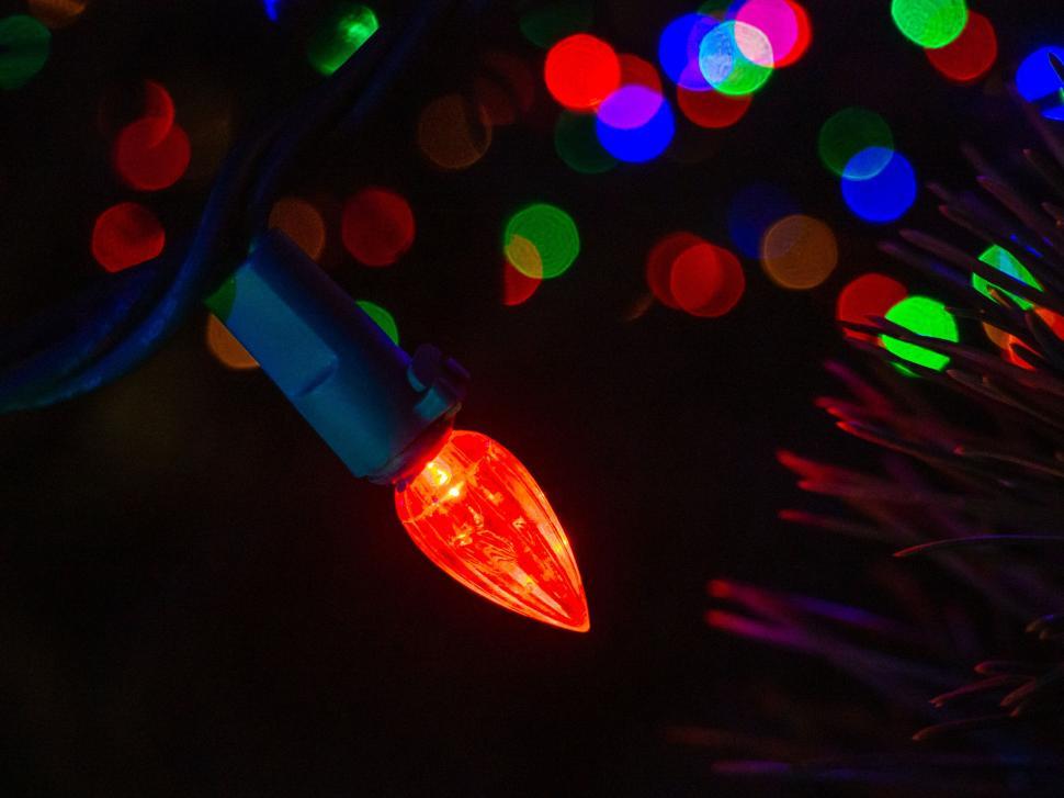 Free Image of Focused close-up of a single red bulb 