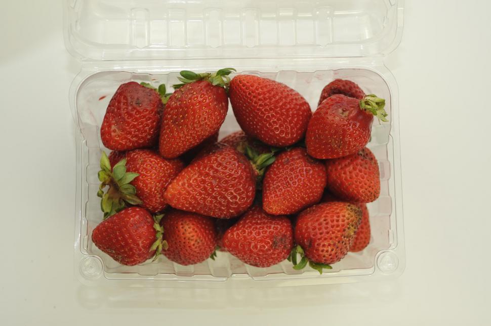 Free Image of Strawberries 