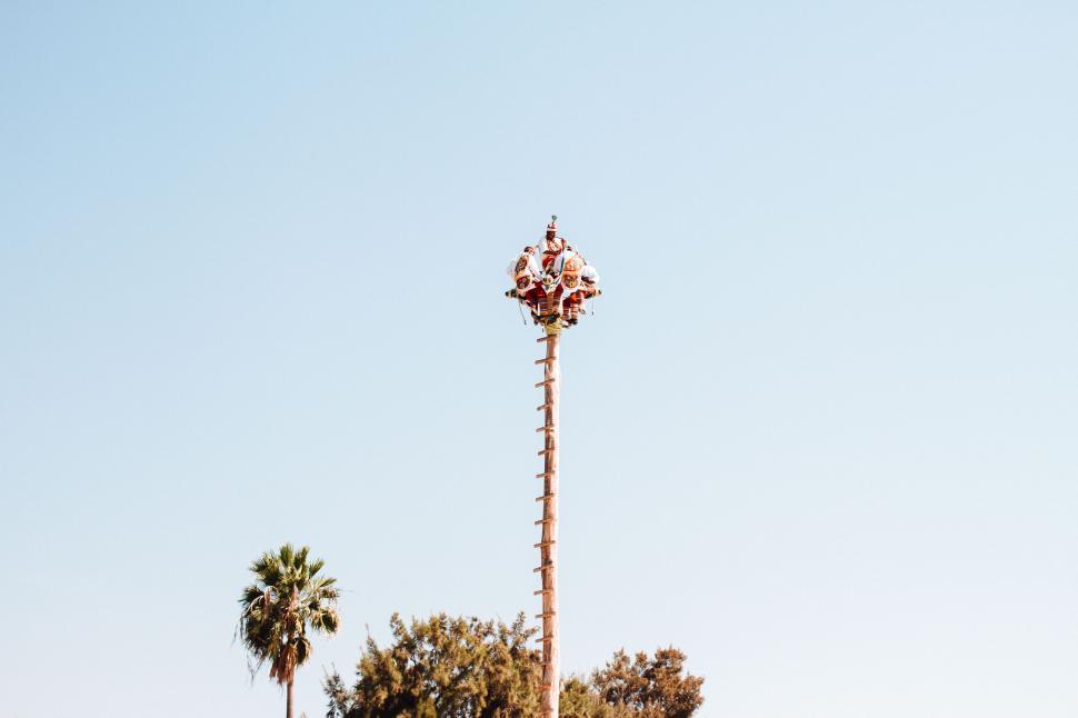 Free Image of Cellular tower disguised as a palm tree skyline 