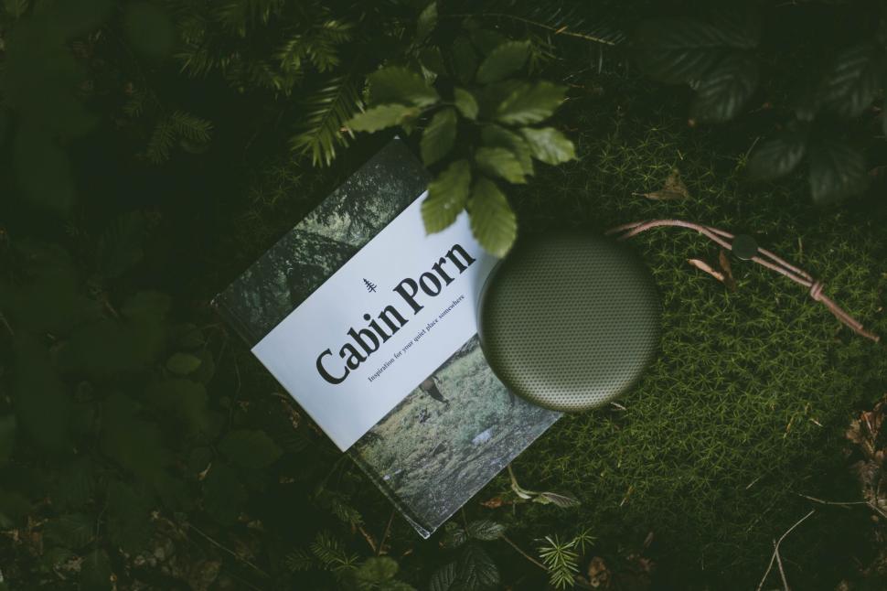 Free Image of Book titled  Cabin Porn  on forest ground 