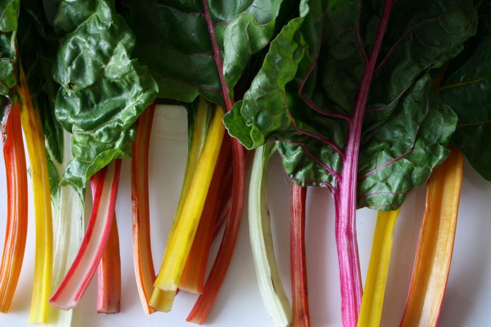 Free Image of Colorful Swiss chard stalks close-up 