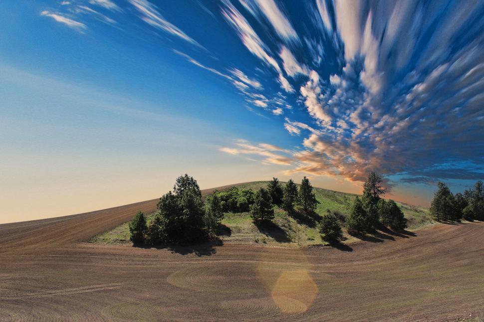 Free Image of Vibrant sky over a meadow with silhouetted trees 