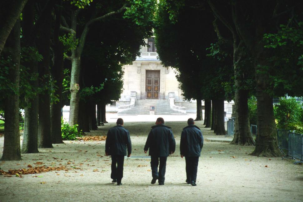 Free Image of Back Side View of Three People Walking in the park 