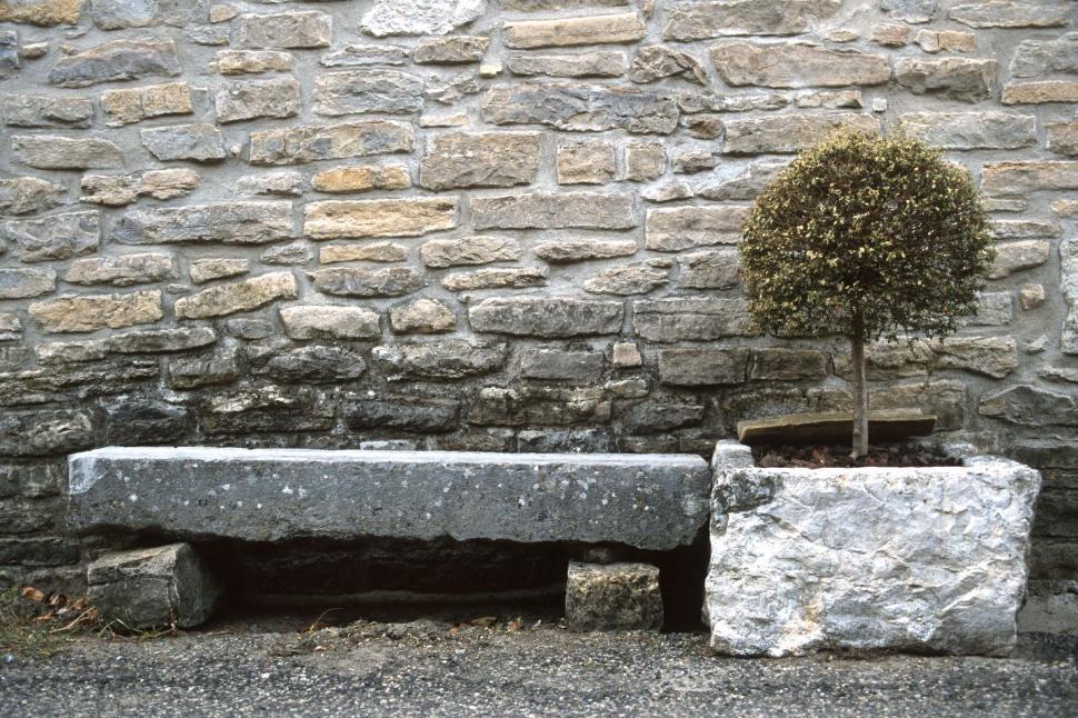 Free Image of Small stone bench and shrub tree 